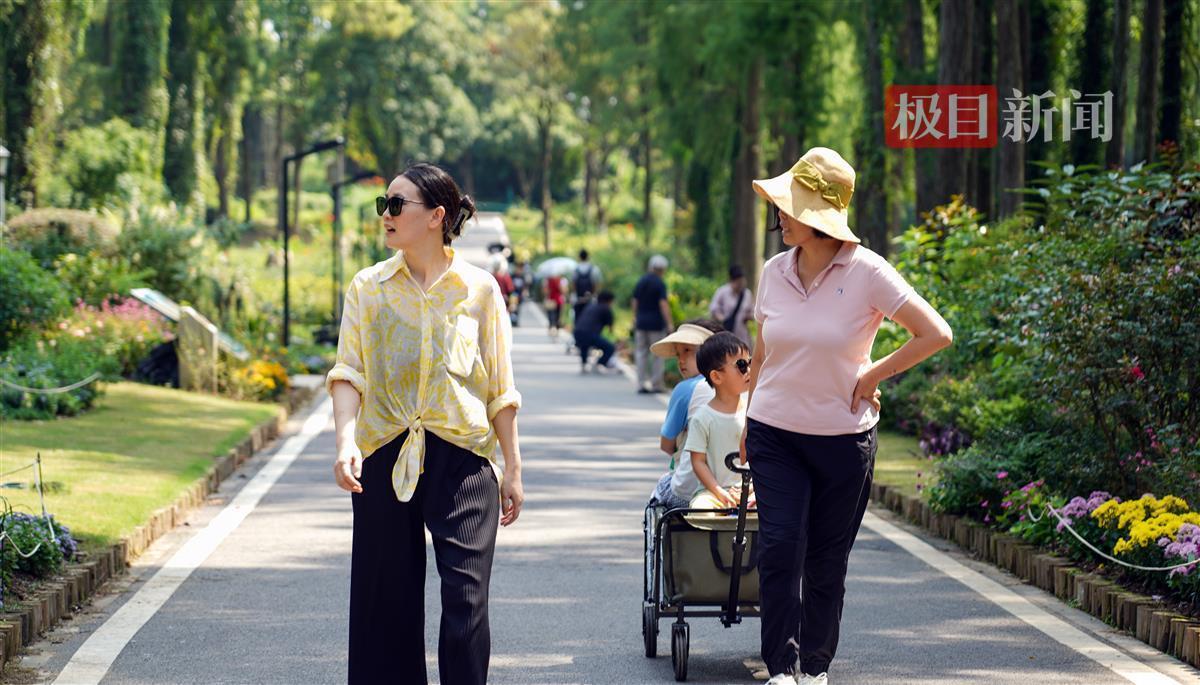 娱乐平台注册网址